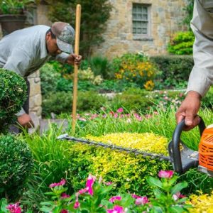 Grass &Tree Cutting